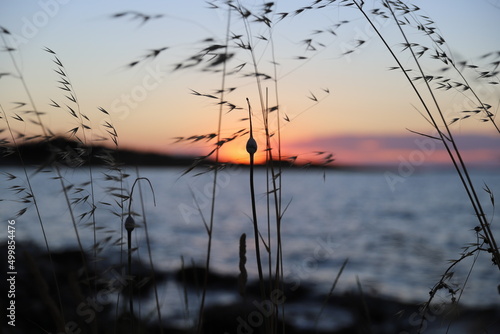 sunset on the lake