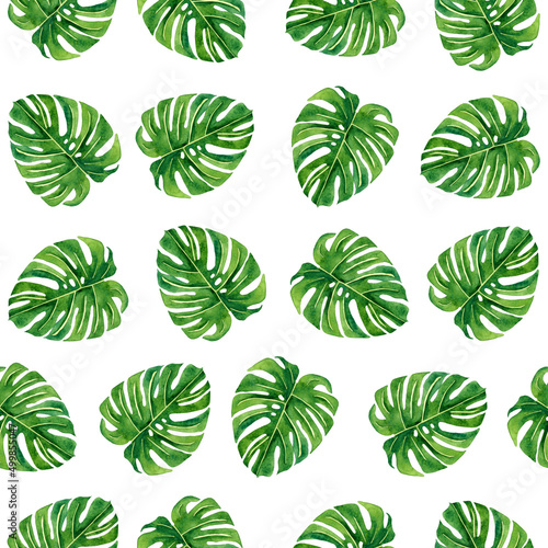 Watercolor tropical seamless pattern with exotic monstera on white background.