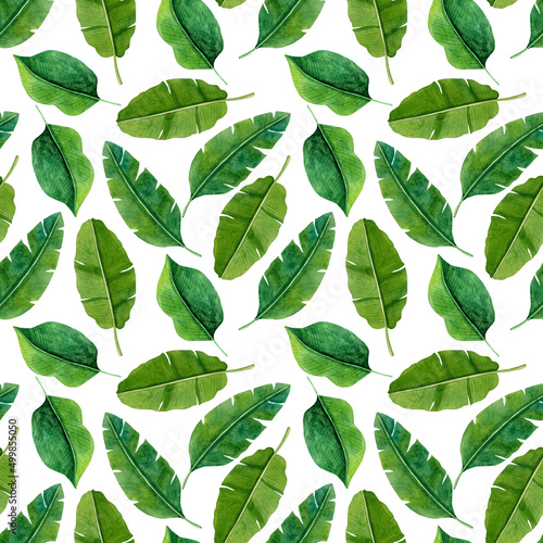 Tropical watercolor seamless pattern with green leaves illustration on white background.