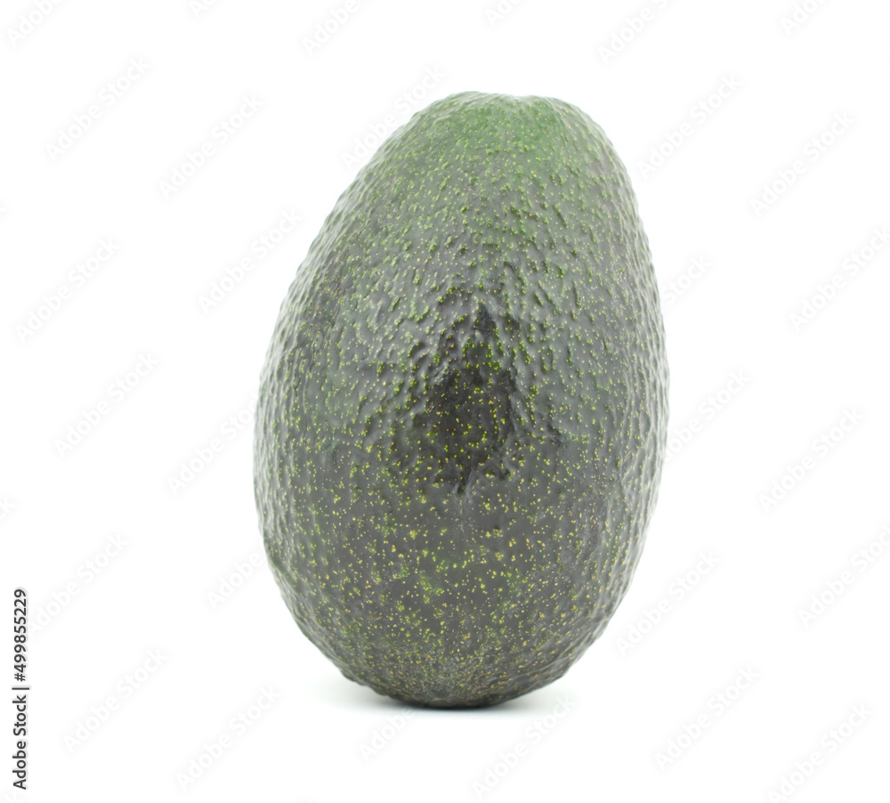 Closeup a single avocado (Persea americana)whole isolated on white background. Oranic ripe fresh tropical fruit stand in a vertical Closeup a single avocado (Persea americana)whole isolated on white background. Oranic ripe fresh tropical fruit stand in a vertical