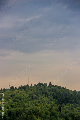 a forest landscape, Skhidnytsya, Lviv region of Ukraine photo