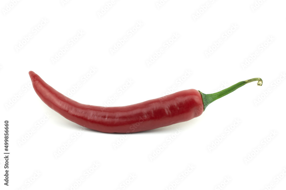 One of fresh raw ripe hot organic red chili peppers whole isolated on white background clipping path