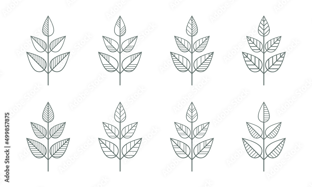Line branches icons vector set.Geometric contour leaves illustration isolated on white. Floral design element for print, background, banner, card. Ecology symbol, environment concept, eco sign, logo. Line branches icons vector set.Geometric contour leaves illustration isolated on white. Floral design element for print, background, banner, card. Ecology symbol, environment concept, eco sign, logo.