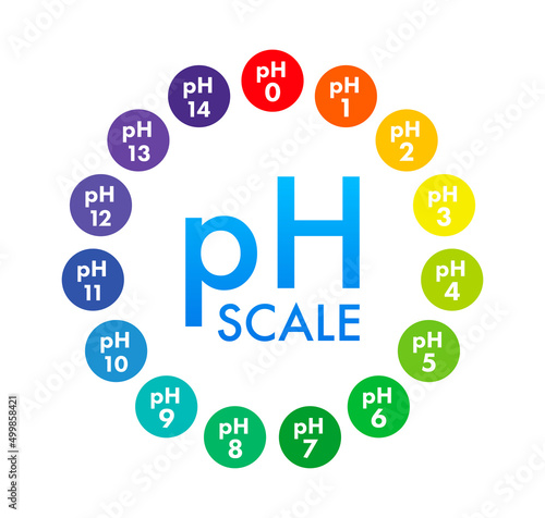 pH value scale meter. pH analysis chemical scale value test. Vector stock illustration.