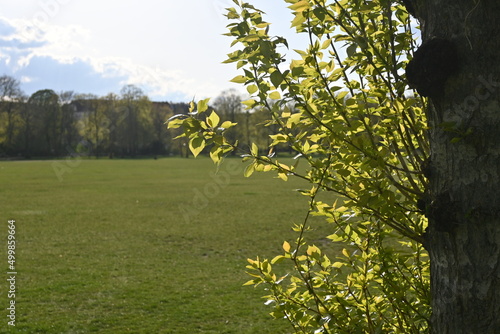 Photography Schillerpark Berlin