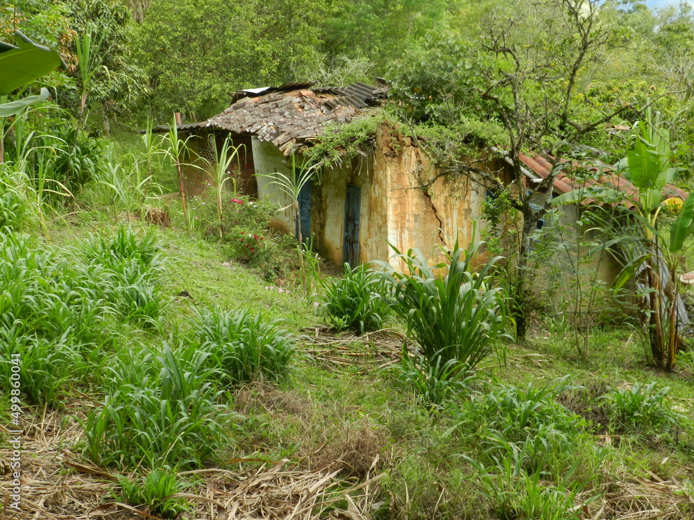 Casa vieja Casa vieja