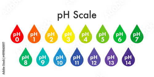 pH value scale meter. pH analysis chemical scale value test. Vector stock illustration.