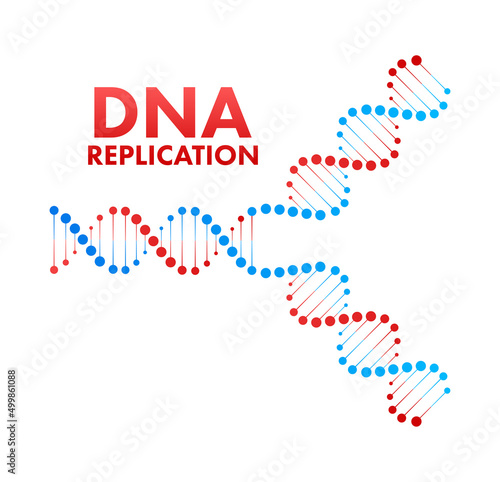 DNA replication. DNA molecules, molecular biology. Vector stock illustration.