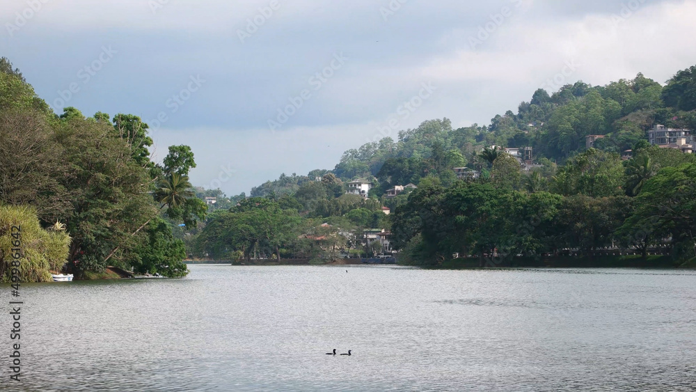 Lake Kandy in Sri Lanka nature