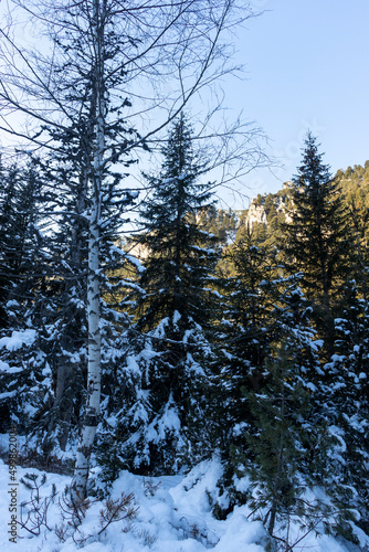 Winter landscape of Rila Mountain near Malyovitsa peak  Bulgaria