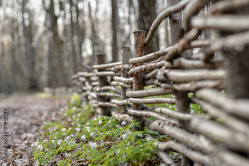 Close up of spring forest with blooming flowers and decorative wooden fence. Selective focus.