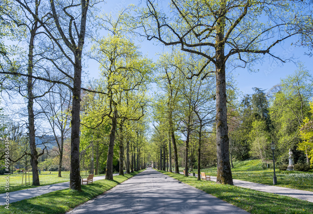 Spring in the spa garden of Baden at the Lichtentaler Allee. Baden Wuerttemberg, Germany, Europe