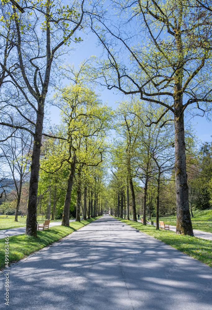 Spring in the spa garden of Baden at the Lichtentaler Allee. Baden Wuerttemberg, Germany, Europe