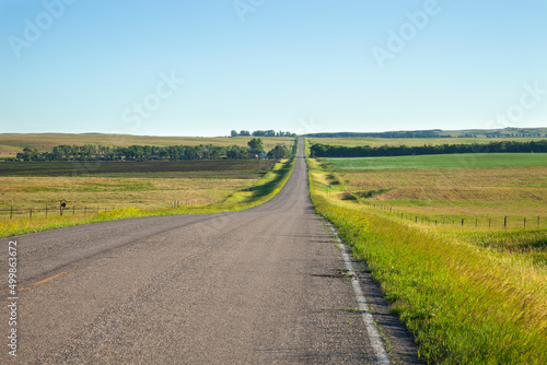 Country road in the morning by farmland during summer in South Dakota