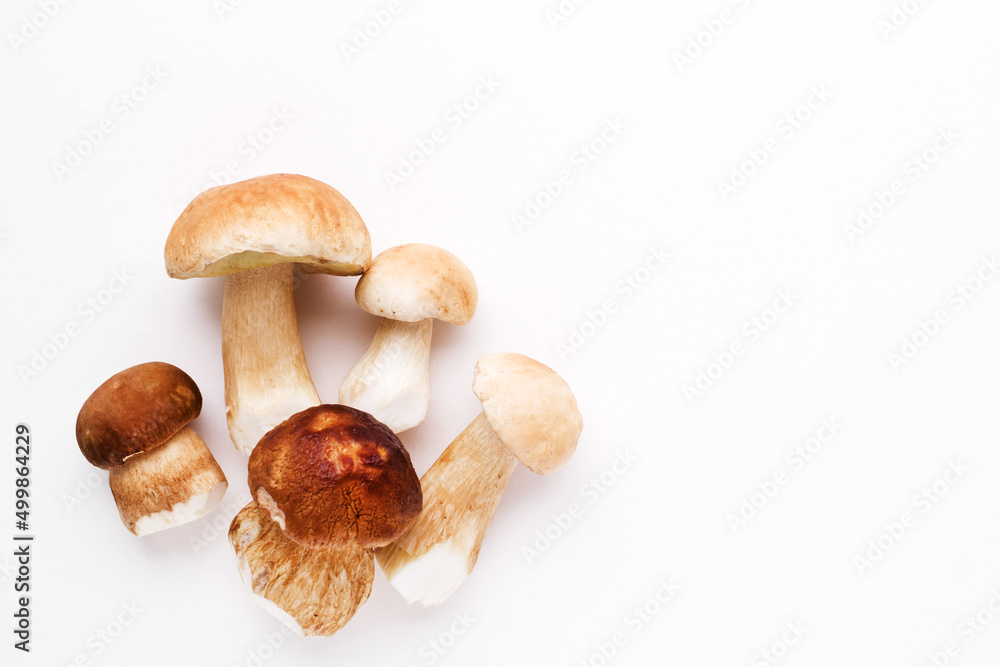 Bunch of fresh forest porcini mushrooms on a white surface close up, soft focus, top view, copy space Bunch of fresh forest porcini mushrooms on a white surface close up, soft focus, top view, copy space