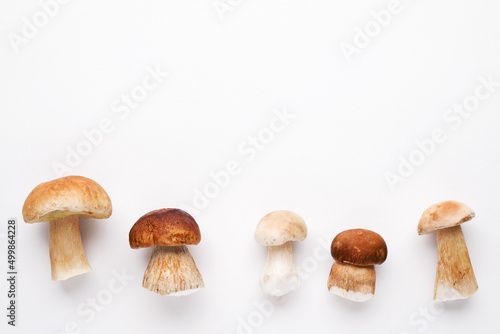 Bunch of fresh forest porcini mushrooms on a white surface close up, soft focus, top view, copy space	 photo