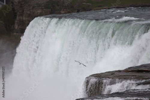 Niagara Falls with a seagull flying at its edge, to show the perspective of size