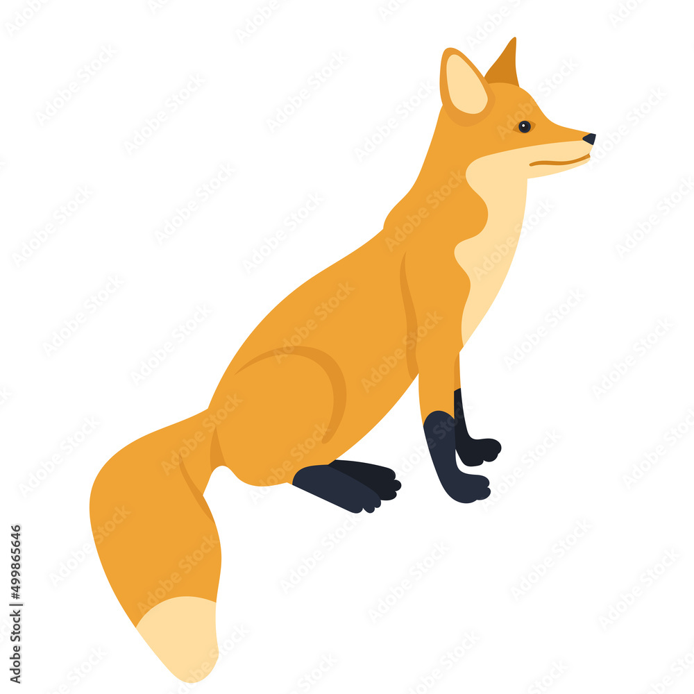 fox flat design, isolated, vector fox flat design, isolated, vector