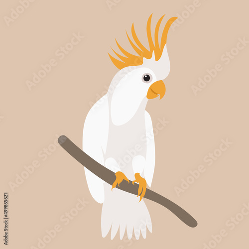 parrot on a branch flat design, isolated, vector
