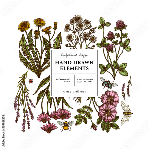 Tea herbs square card or invitation design. Frame design with chamomile, cinnamon rose, etc.