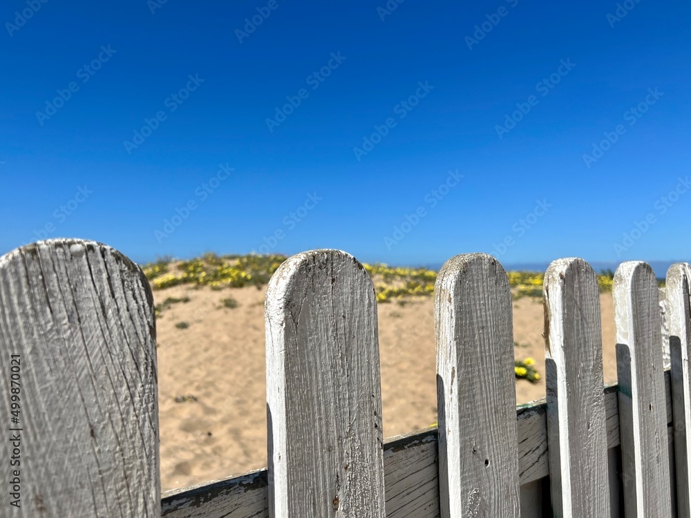 white wooden fence on a beach with blue sky background