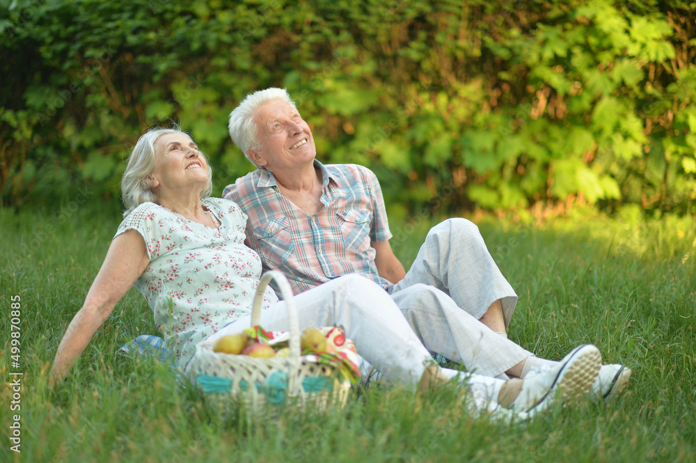Fototapeta premium Portrait of loving elderly couple having a picnic