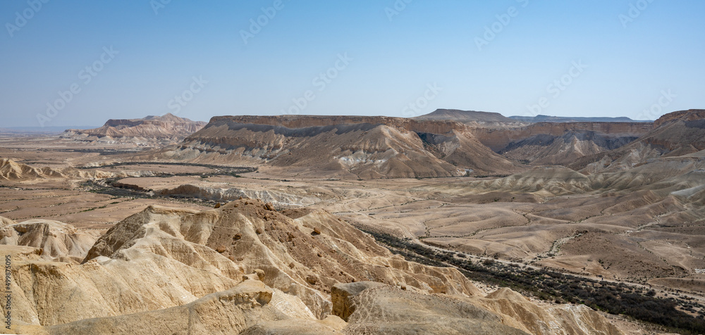 Scenic view on Ein Avdat National Park. The park and canyon located in desert of the Negev