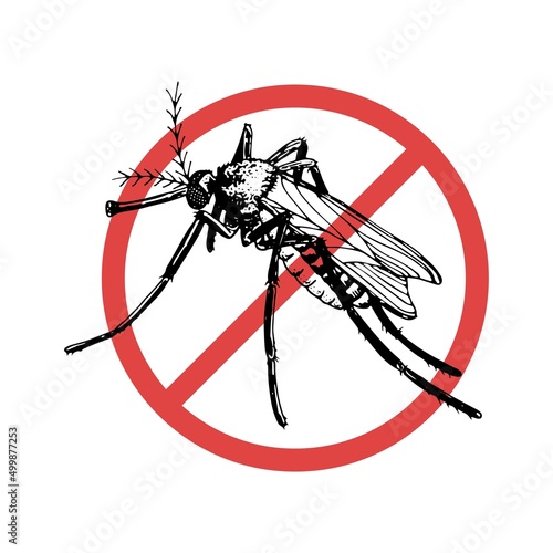 Icon no mosquito vector sketch. Flying insect hand drawn. Vintage black and white illustration. Moth drinking blood. Annoying winged insect. Mosquito bite protection.