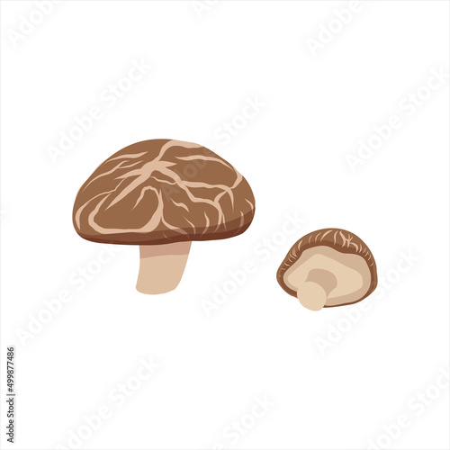 shiitake edulis mushroom