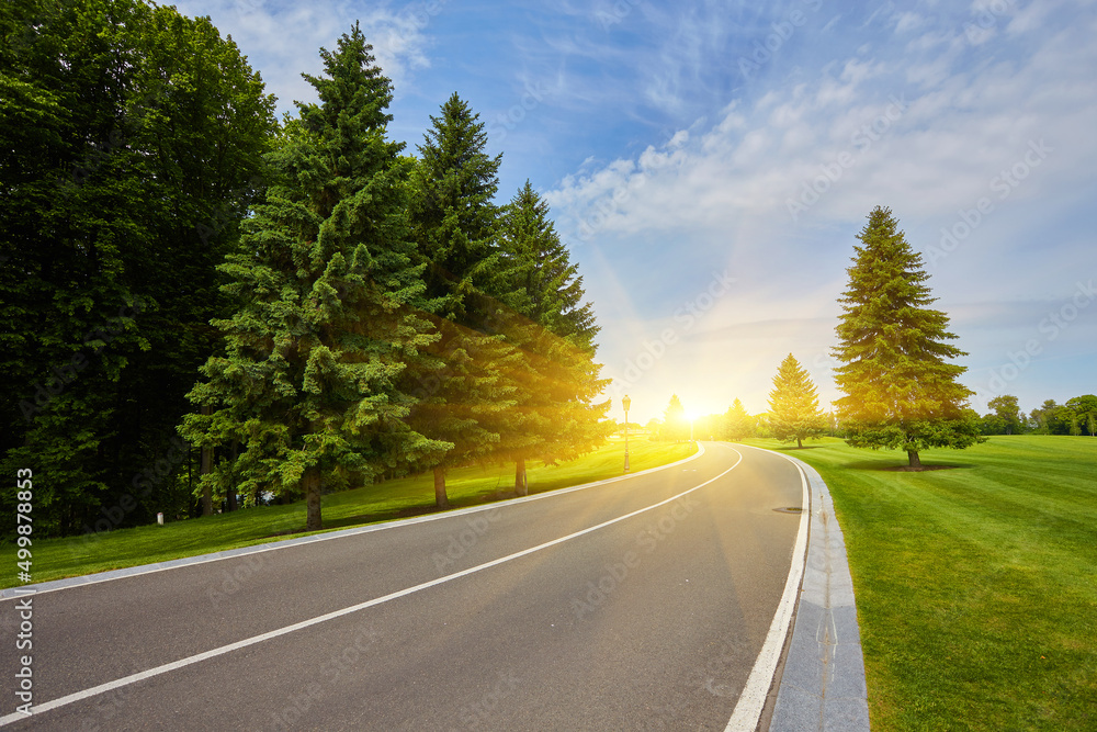 Fototapeta premium The paved road up the side of the trees, a freight train on a Sunny day
