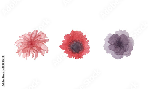 watercolor beautiful minimalistic  flowers © DarksmileArt