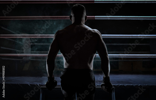 Kickboxer climbs into the ring. View from the back. Sports competitions. Fight night. The concept of mixed martial arts.