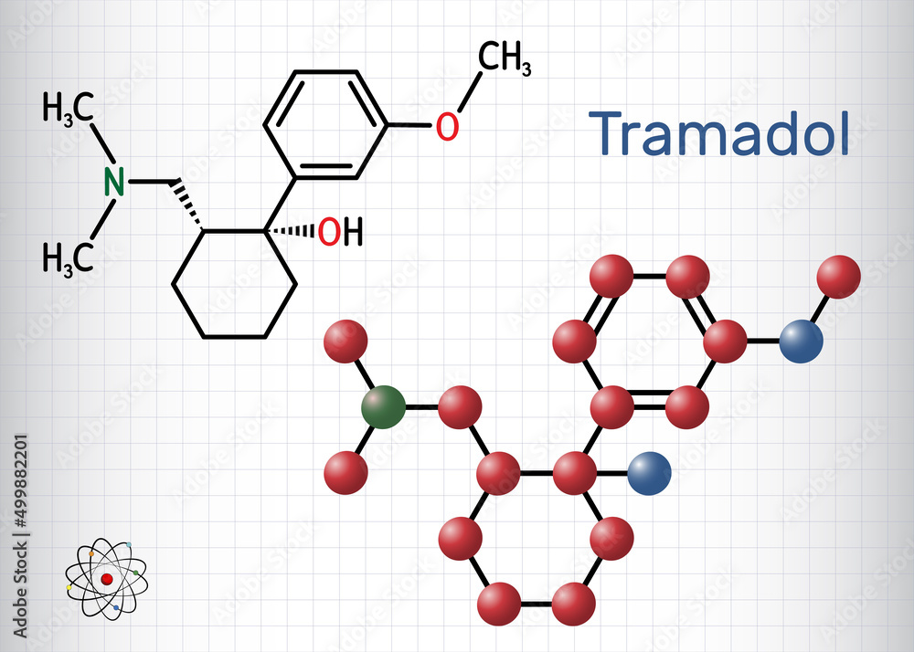gabapentin vs tramadol for pain in dogs