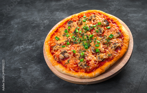 Pizza with tomatoes, cheese, mushrooms, tomato sauce and fresh herbs isolated on a dark background.