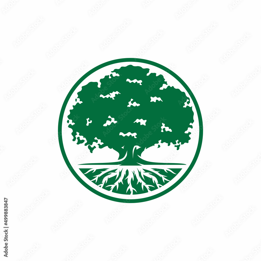 Oak tree logo design vector illustration Oak tree logo design vector illustration