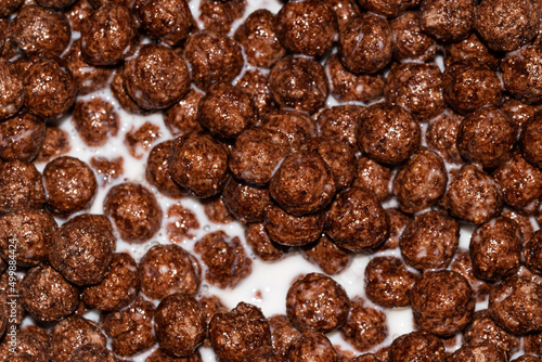 High fiber chocolate cornflakes in milk for breakfast.