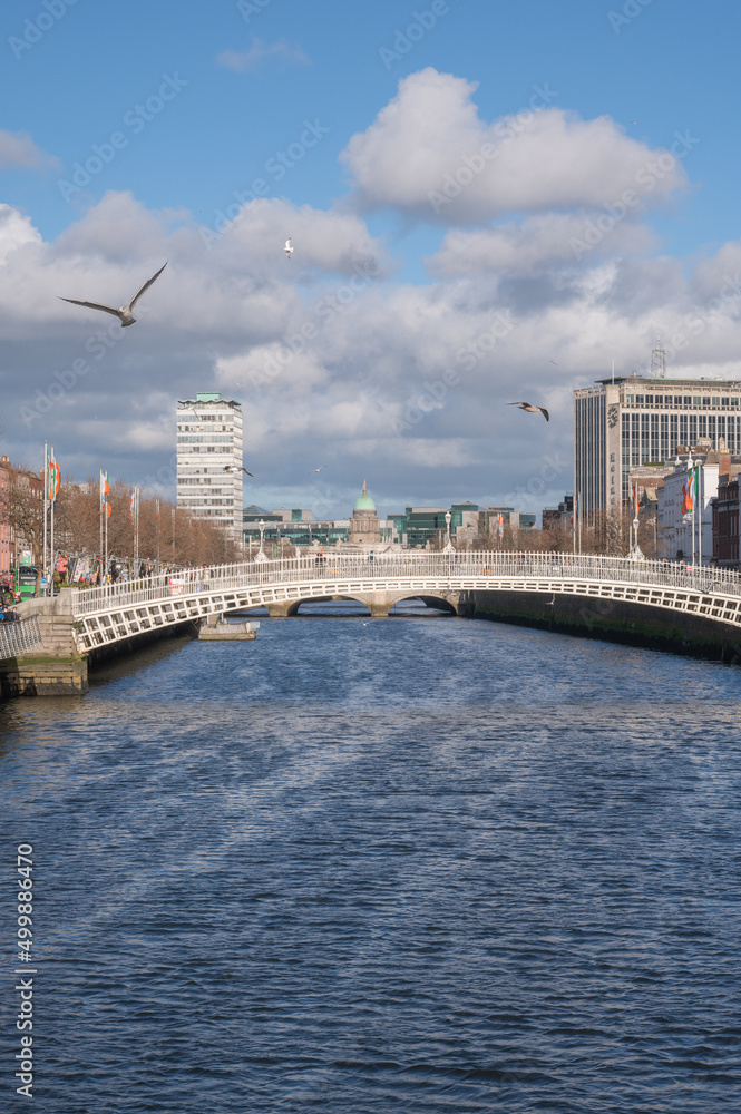 Fototapeta premium Die Ha'Penny Bridge ist wohl eines der bedeutendsten Wahrzeichen Dublins. Sie überspannt den Fluss Liffey und verbindet den alten Stadtteil Temple Bar