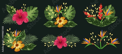Set composition with tropical flowers hibiscus, heliconia and strelitzia, leaves palm and monstera. Vector on a black background