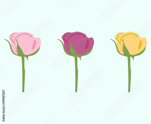Vector ilustración de rosas en color rosa, rojo y amarillo 