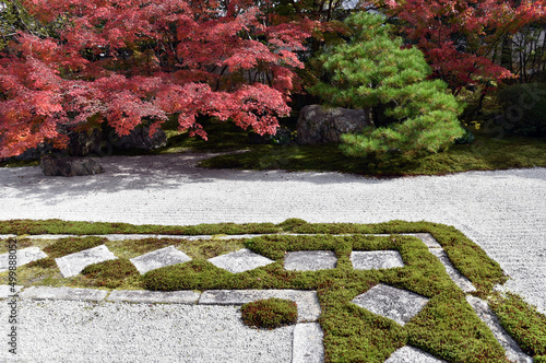 天授庵　方丈前庭の紅葉　京都市左京区 photo