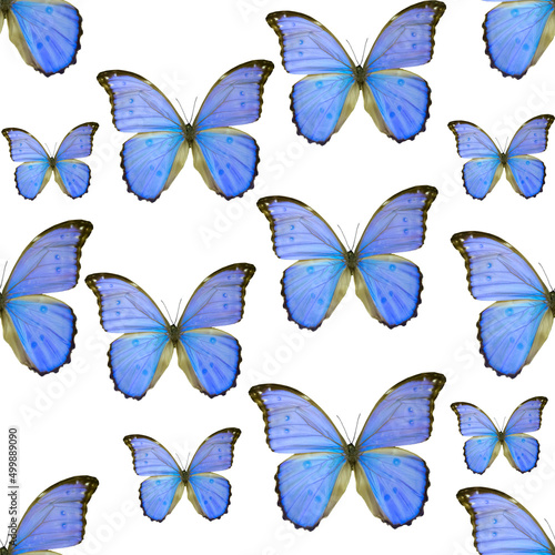blue colored butterflies isolated on white seamless pattern © wasnoch
