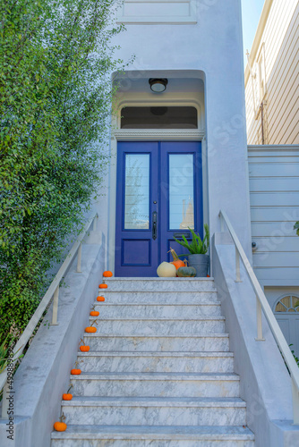 Photography Double violet front door with pumpkins on the doorsteps at San Francisco, Califo