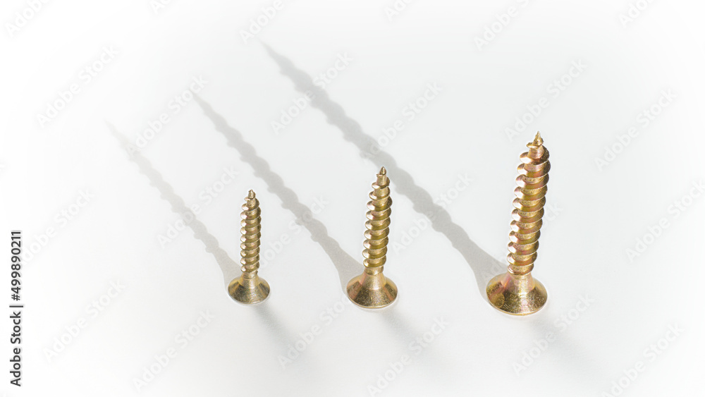 Three golden screws of different sizes in a row on a white background with long shadows Three golden screws of different sizes in a row on a white background with long shadows