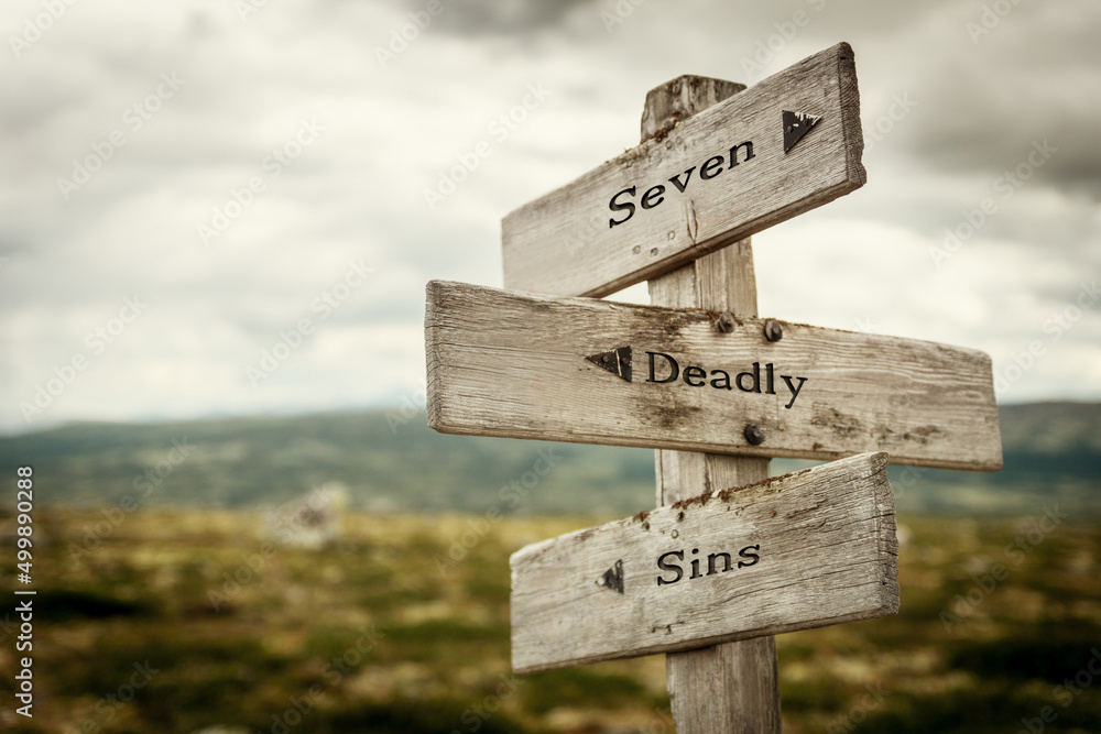 seven deadly sins text quote written in wooden signpost outdoors in nature. Moody theme feeling. - obrazy, fototapety, plakaty 