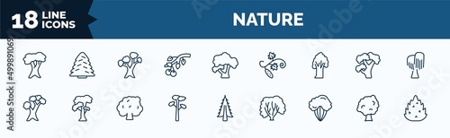 set of nature web icons in outline style. thin line icons such as white oak tree, black cherry tree, american chestnut tree, scarlet oak pitch pine shadbush sycamore eastern redcedar vector.