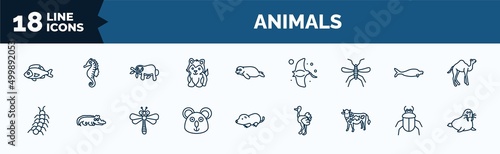 set of animals web icons in outline style. thin line icons such as perch, siberian husky, mosquito, centipede, koala, cow, beetle, walrus vector.