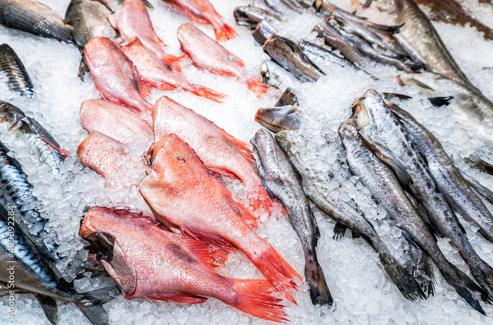 Frozen fish in ice ready for sale