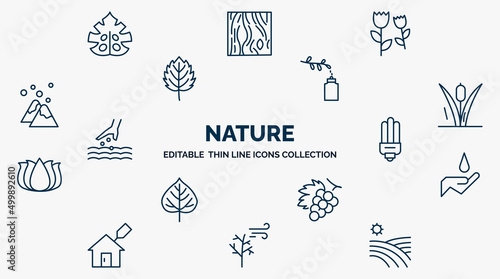 concept of nature web icons in outline style. thin line icons such as fern, pair of flowers, floral decorations, reeds, led bulb, conservation, grapevine, leafless tree, vineyard vector.