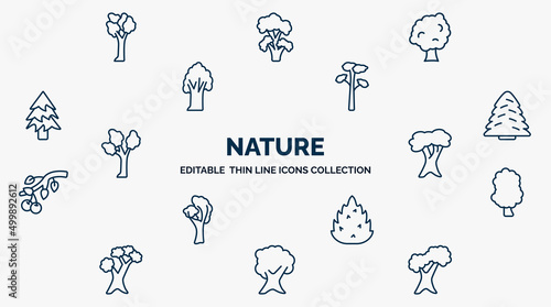 concept of nature web icons in outline style. thin line icons such as american elm tree, sycamore tree, pitch pine tree, white spruce white oak sassafras eastern redcedar butternut northern red oak