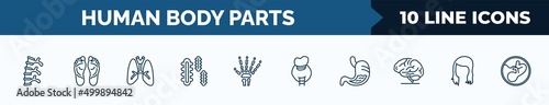 set of 10 human body parts web icons in outline style. thin line icons such as human spine, human footprints, lungs with the trachea, three bacteria, hand bones, thyroid, stoh with liquids, woman